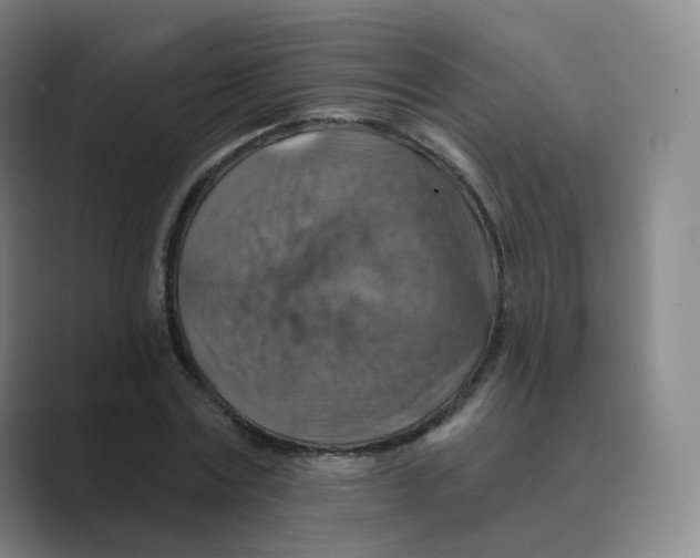 X0000088750779200706282204