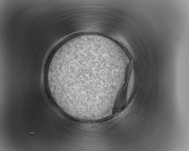 X0000088750780200706282204