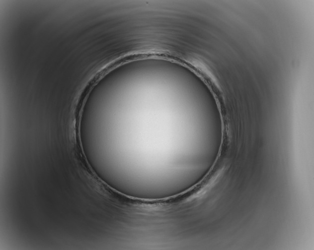 X0000088750781200706282204