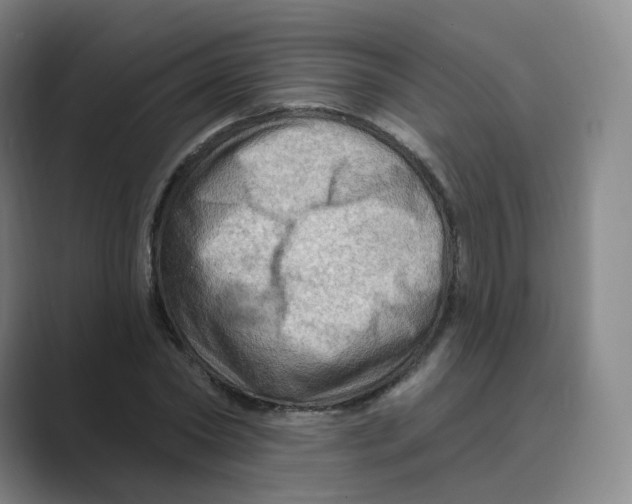 X0000088750782200706282204