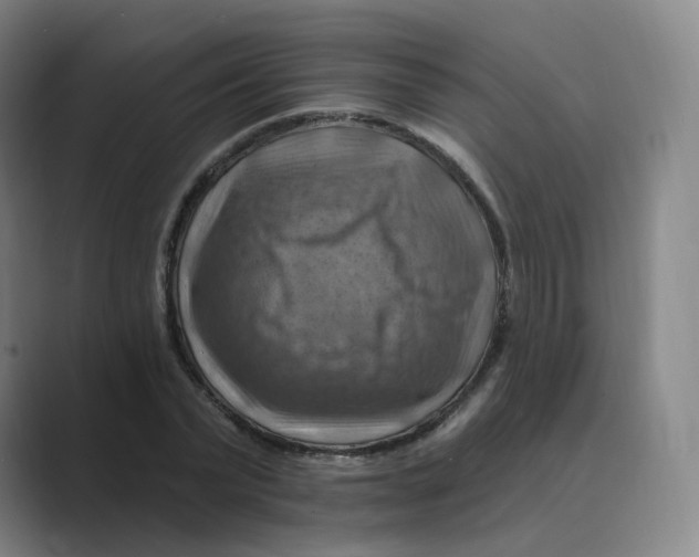 X0000088750783200706282204