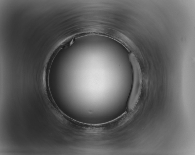 X0000088750788200706282204