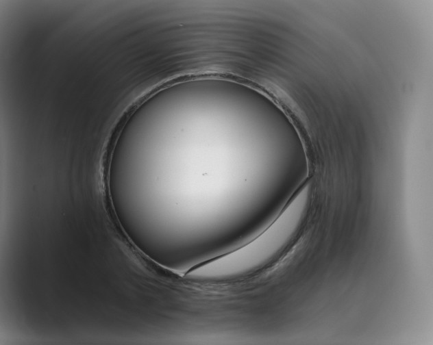 X0000088750789200706282204