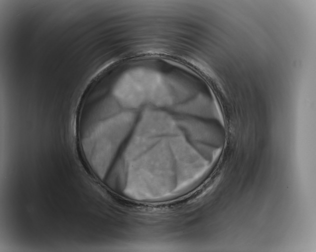 X0000088750790200706282204