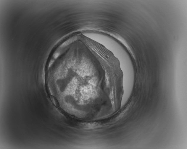 X0000088750791200706282204