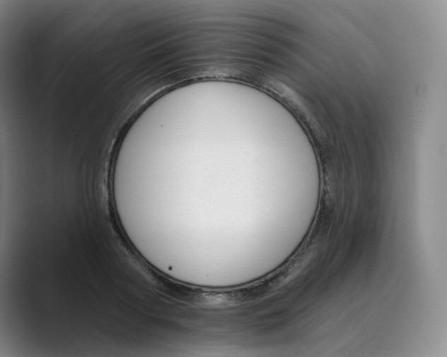 X0000088750794200706282204