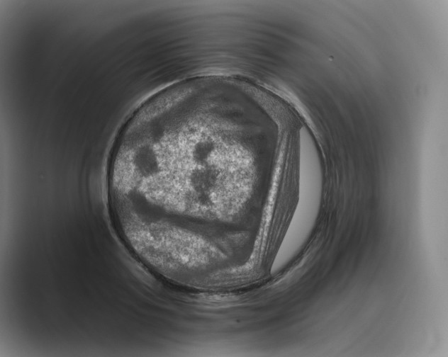 X0000088750795200706282204