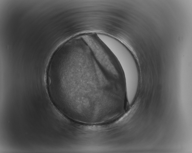 X0000088750797200706282204