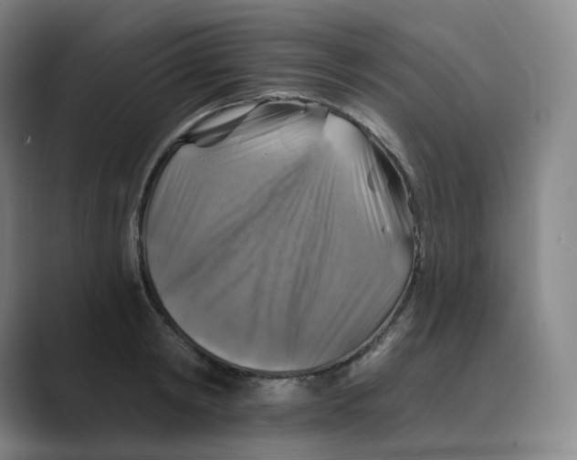 X0000088750798200706282204