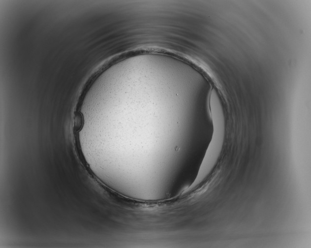 X0000088750799200706282204