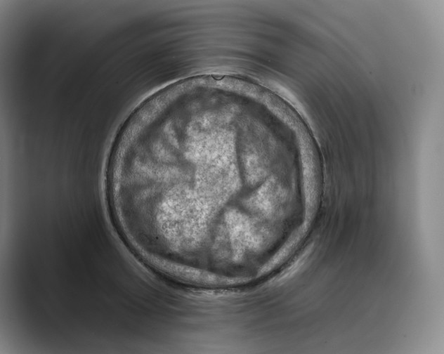 X0000088750803200706282204