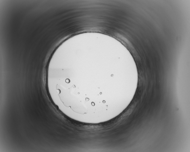 X0000088750804200706282204