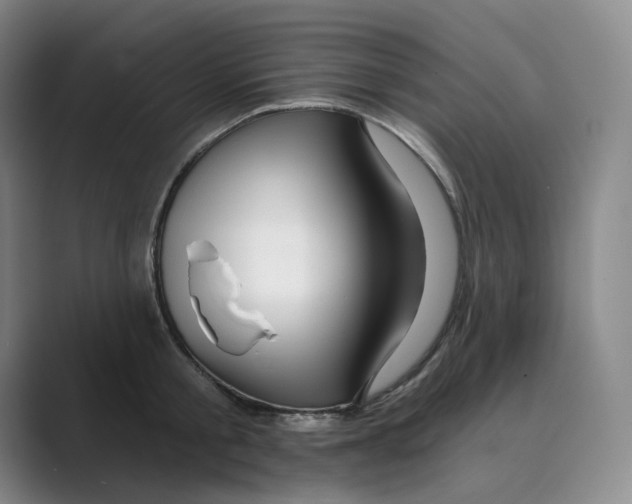 X0000088750805200706282204