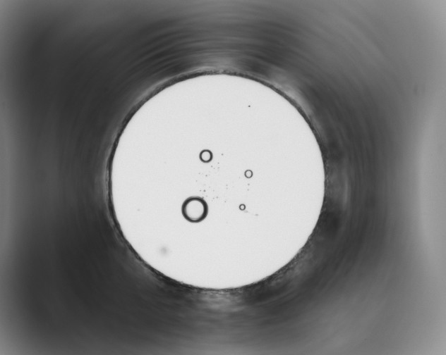 X0000088750807200706282204