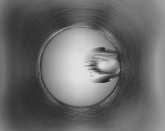 X0000088750808200706282204