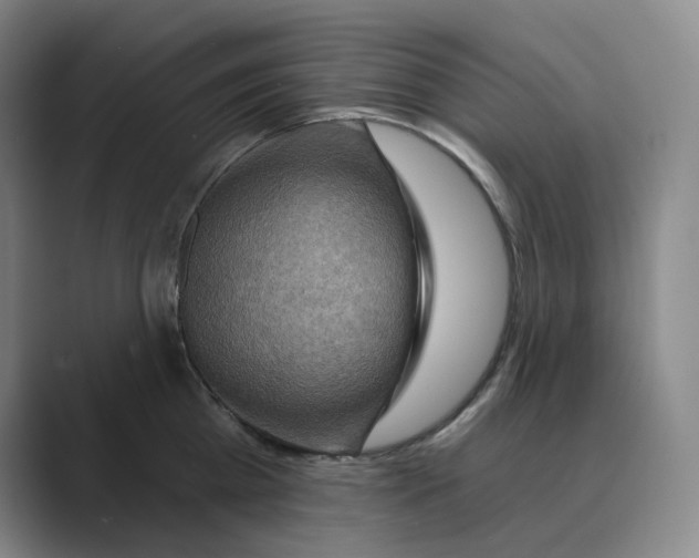 X0000088750809200706282204