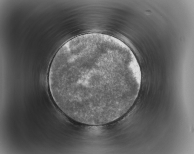 X0000088750810200706282204