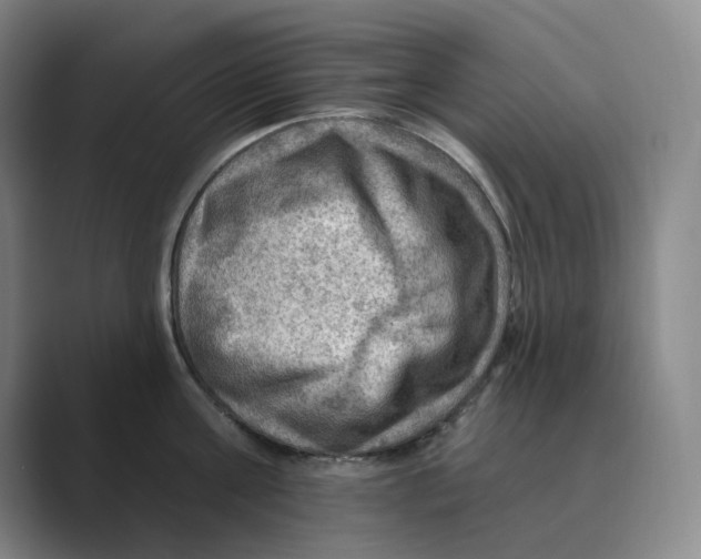 X0000088750811200706282204