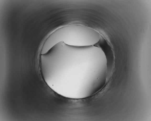 X0000088750816200706282204