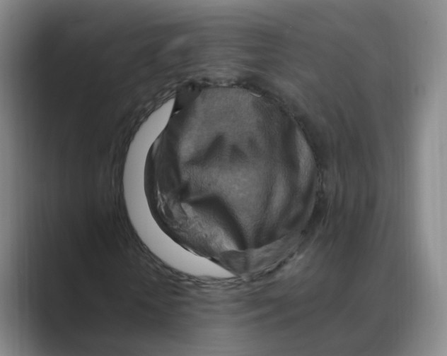 X0000088750818200706282203