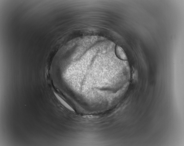 X0000088750819200706282203