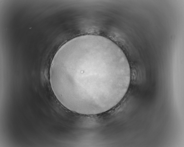 X0000088750820200706282203