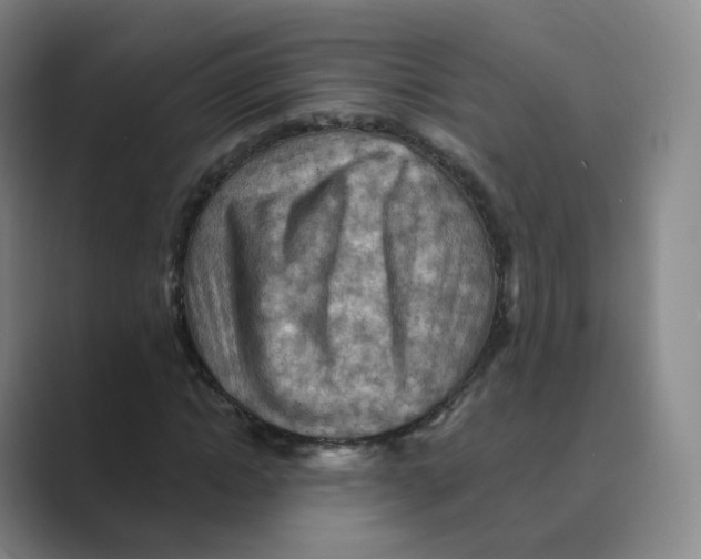 X0000088750822200706282203