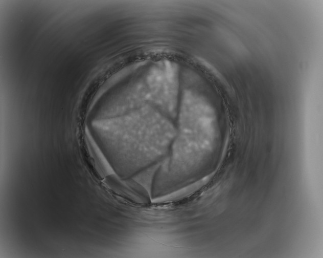 X0000088750823200706282203