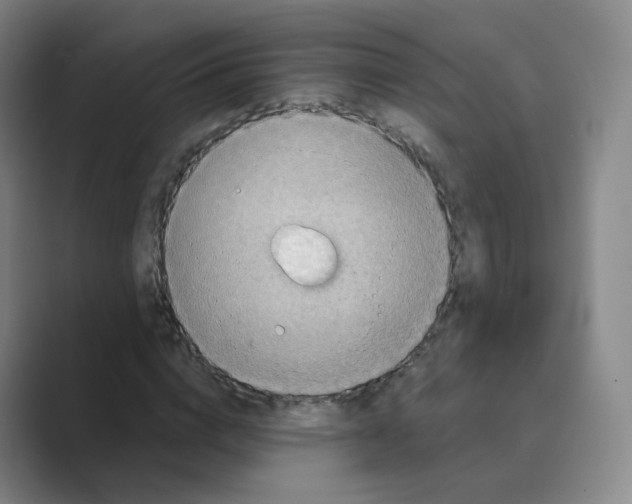 X0000088750824200706282203