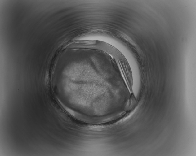 X0000088750825200706282203