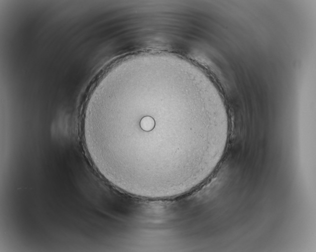 X0000088750828200706282203