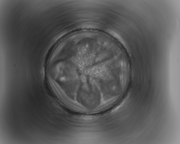 X0000088750829200706282203