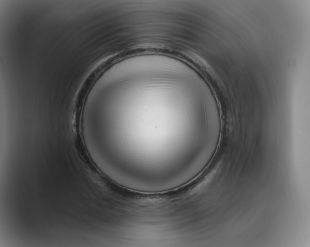 X0000088750830200706282203