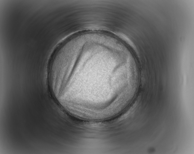 X0000088750831200706282203