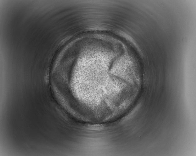 X0000088750833200706282203