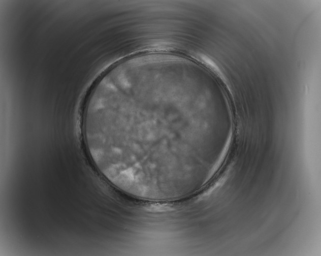 X0000088750835200706282203