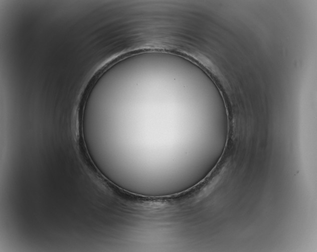 X0000088750838200706282203