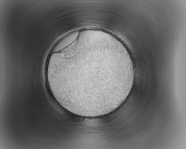 X0000088750840200706282203