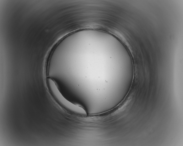 X0000088750843200706282203