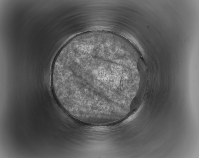 X0000088750844200706282203