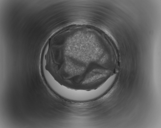 X0000088750845200706282203