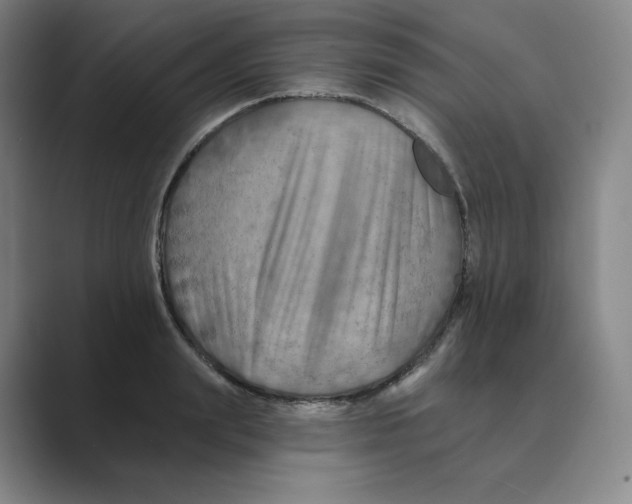 X0000088750847200706282204