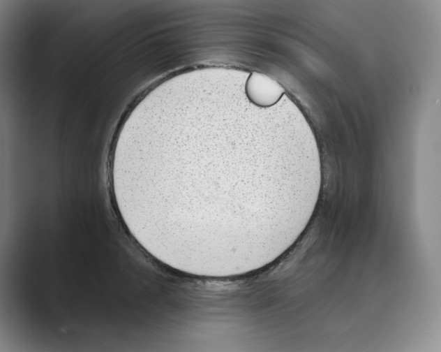 X0000088750848200706282204