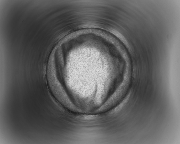 X0000088750849200706282204