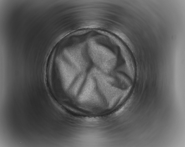 X0000088750850200706282204