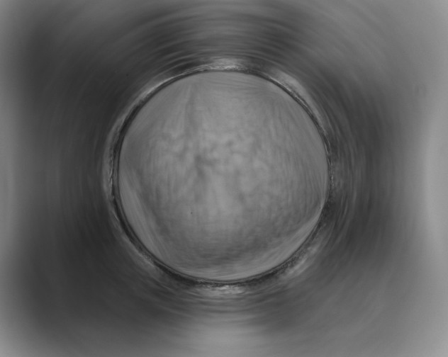 X0000088750851200706282204