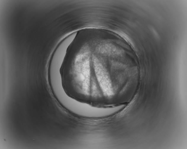 X0000088750854200706282204