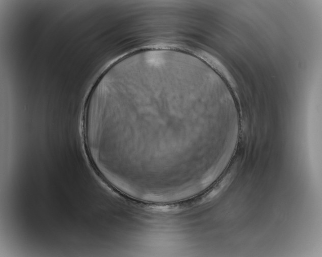 X0000088750855200706282204