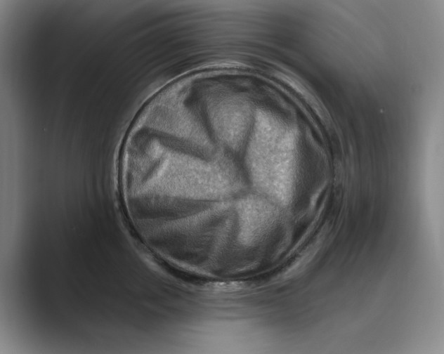 X0000088750858200706282204