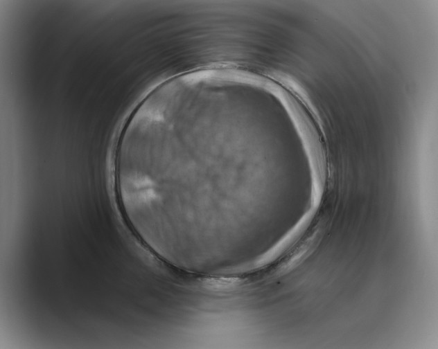 X0000088750859200706282204